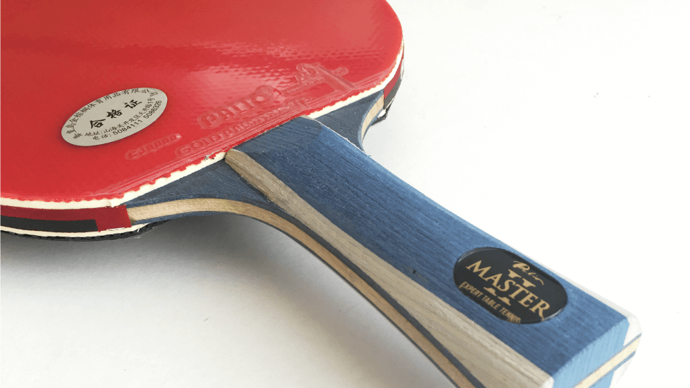 Palio Expert 2.0 ping pong paddle