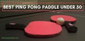Best Ping Pong Paddle Under 50