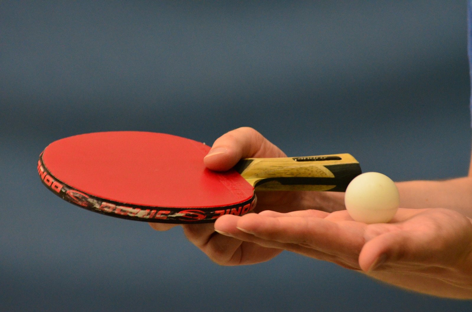 best ping pong paddle for beginners