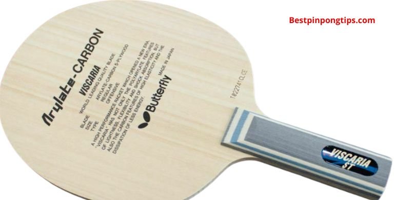 butterfly-Viscaria-paddle