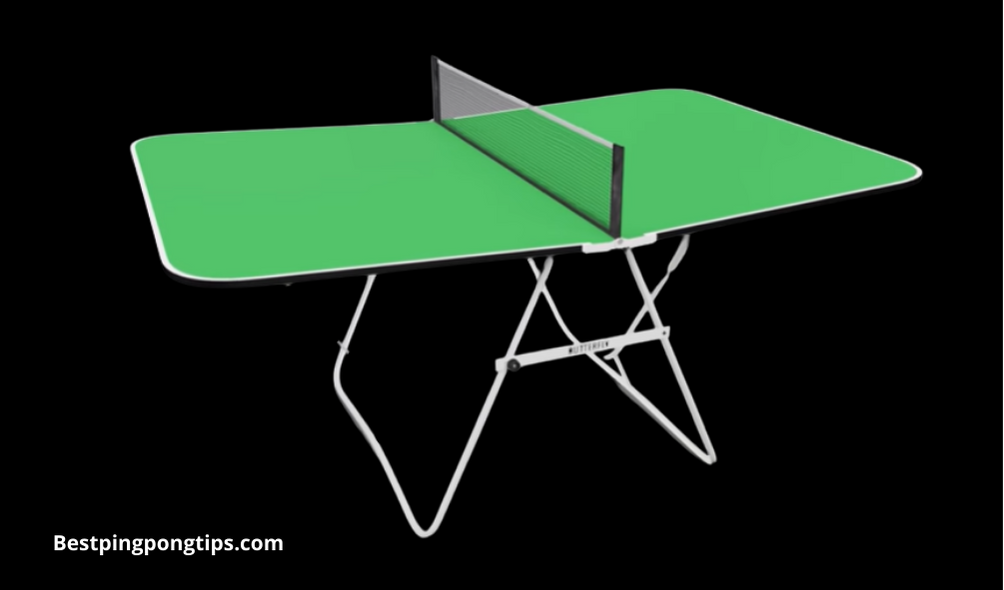 BUTTERFLY FAMILY TABLE TENNIS TABLE