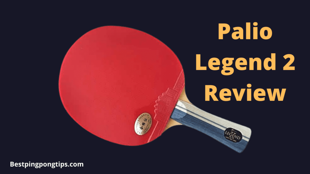 Palio Legend 2 Review