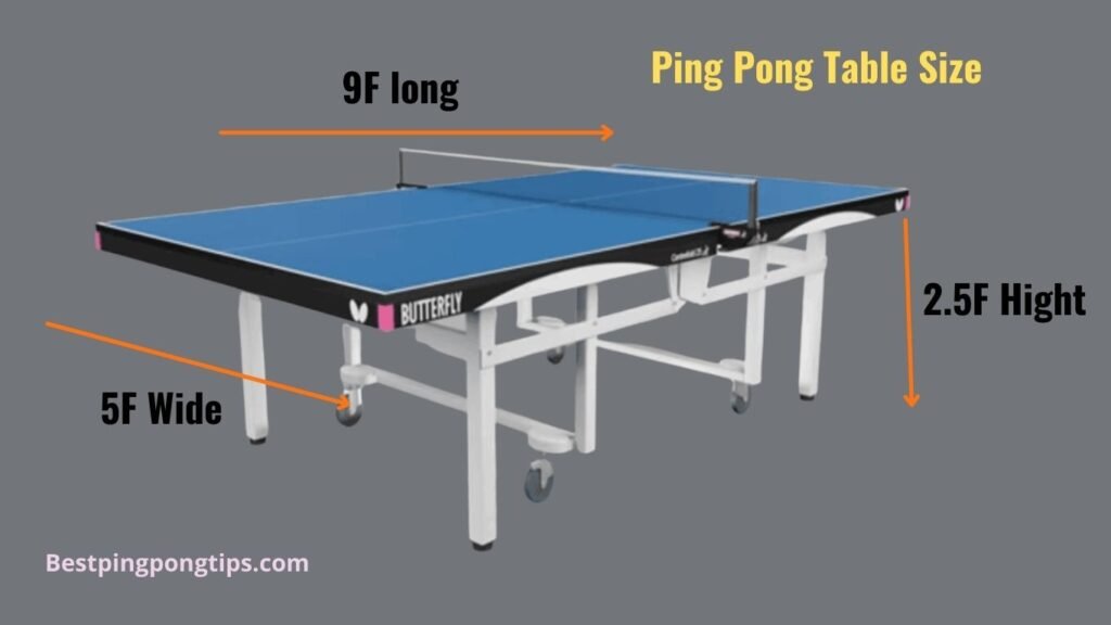 Ping Pong Table Size