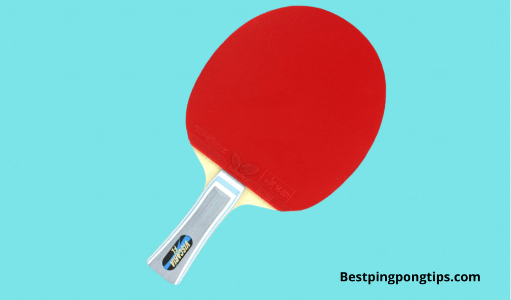 Butterfly Viscaria Pro-Line Ping Pong Racket