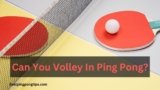 Can You Volley In Ping Pong?